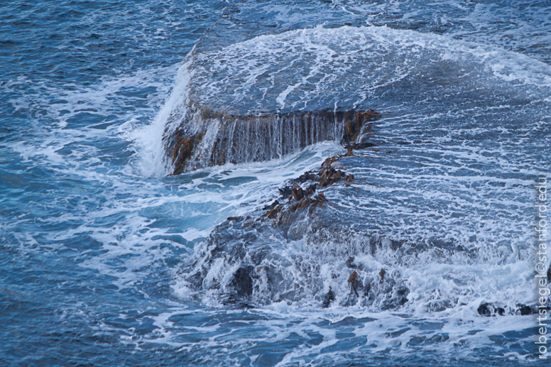 tasmania tide